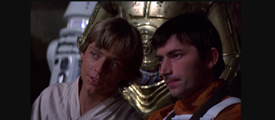 Cronicas de Vos | Quando Erros se Tornam Tesouros