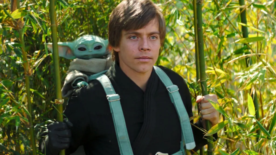 O Maior Encontro Que Nunca Vimos: Como Star Wars Desperdiçou o Momento de Luke e Ahsoka