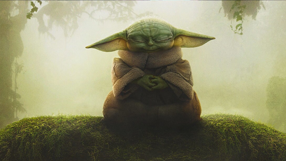Arquitetura Espacial? O Bizarro (e Genial) Segredo Genético da Espécie de Yoda e Grogu
